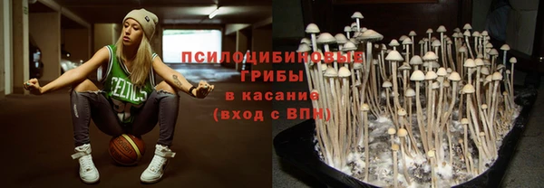 Альфа ПВП Армянск