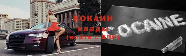 шишки Аркадак