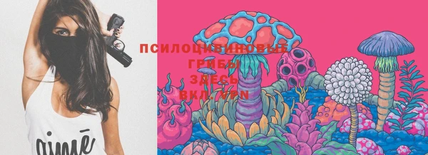 ПСИЛОЦИБИНОВЫЕ ГРИБЫ Арсеньев