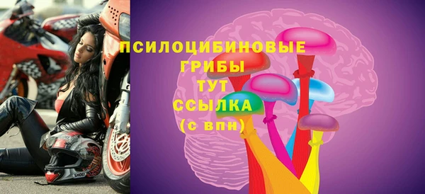 ПСИЛОЦИБИНОВЫЕ ГРИБЫ Арсеньев
